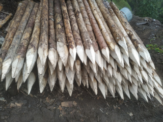 Dřevěný kůl průměr 9-12cm délka 250cm se špicí